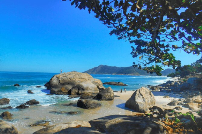 Private Rio’s Top Wildest Beaches Of Prainha, Grumari & Others - Key things that make this day trip worth your time