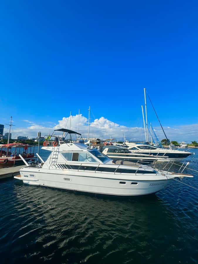 Private speedboat tour in Rio de Janeiro - Key things that make this speedboat tour work