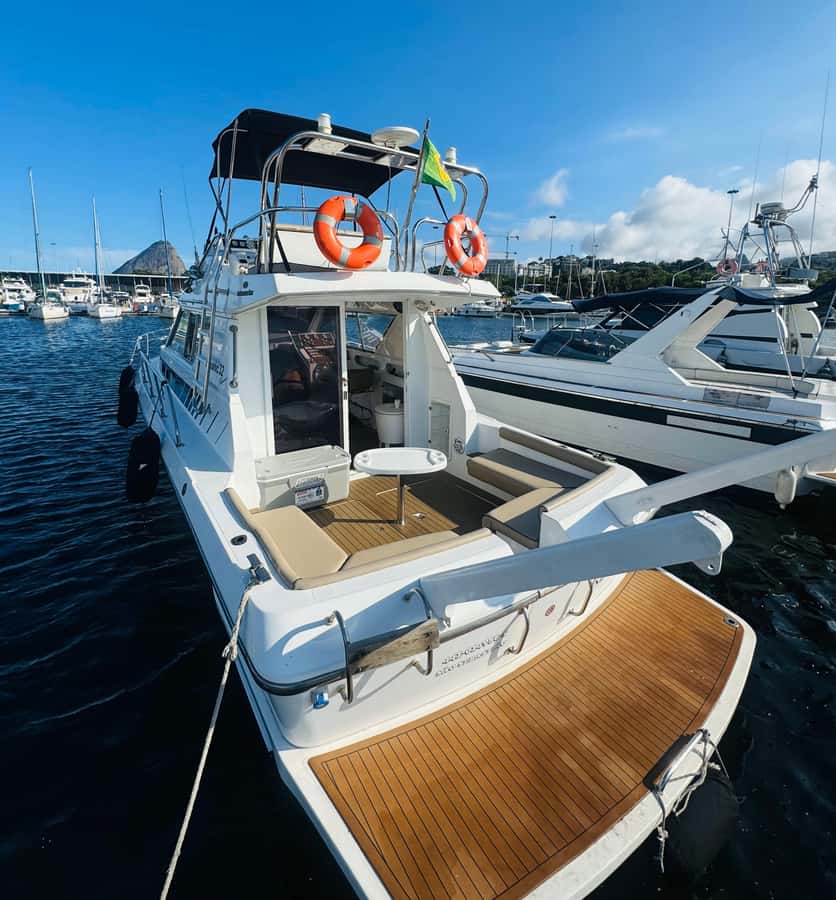 Private speedboat tour in Rio de Janeiro - Marina da Glória start: where your Rio day actually begins