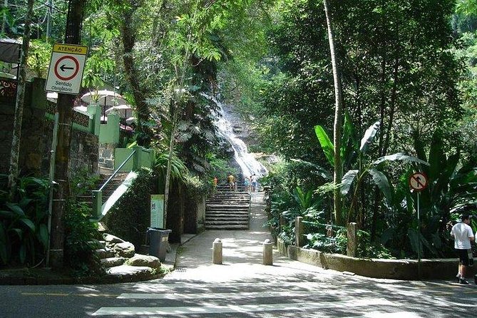 Private Sugarloaf Mountain and Tijuca Forest Tour - Centro de Visitantes Paineiras: tying the forest back together