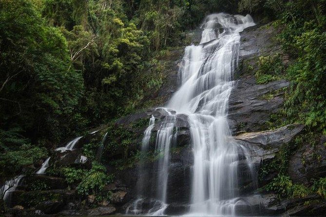 Private Sugarloaf Mountain and Tijuca Forest Tour - Parque Nacional da Tijuca: wildlife spotting in the fresh air