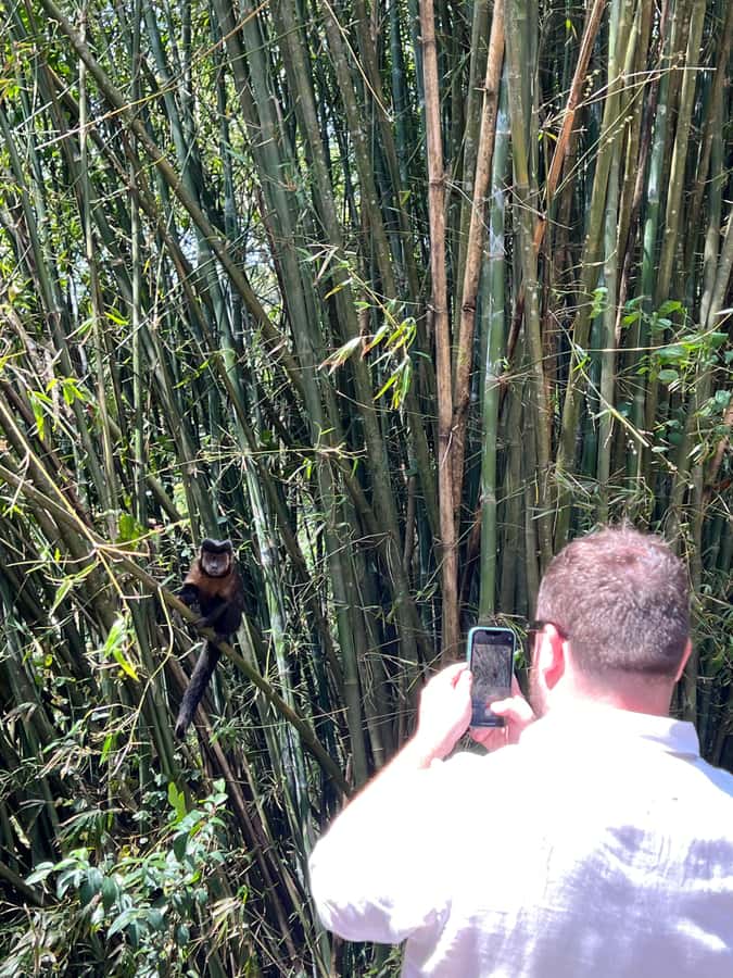 Private Tijuca Forest & Botanical Garden Guided Tour - Who this tour fits best