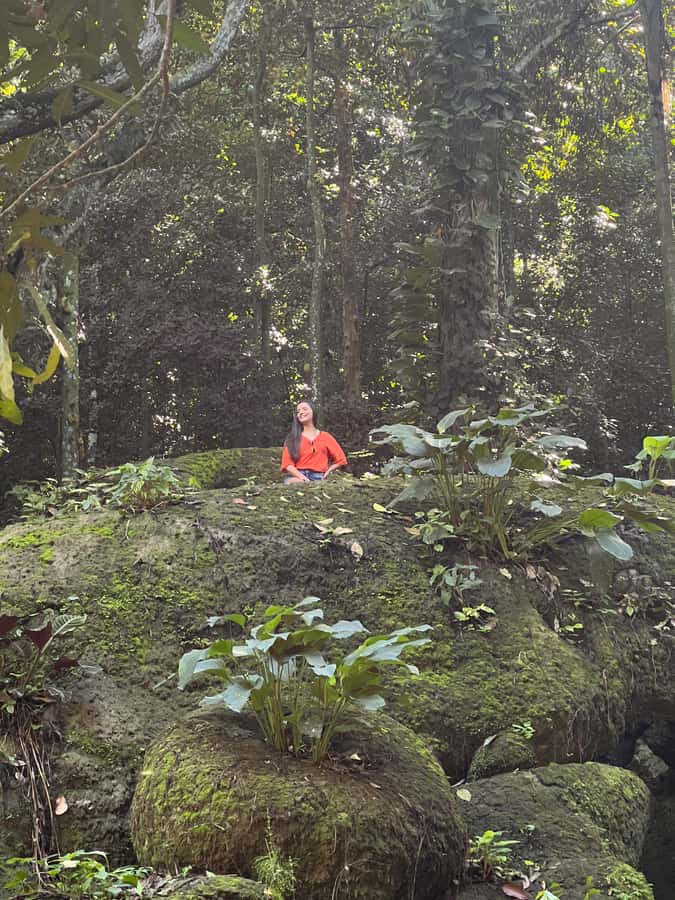 Private Tijuca Forest & Botanical Garden Guided Tour - A rainforest day with a view, plus a real botanical garden stop