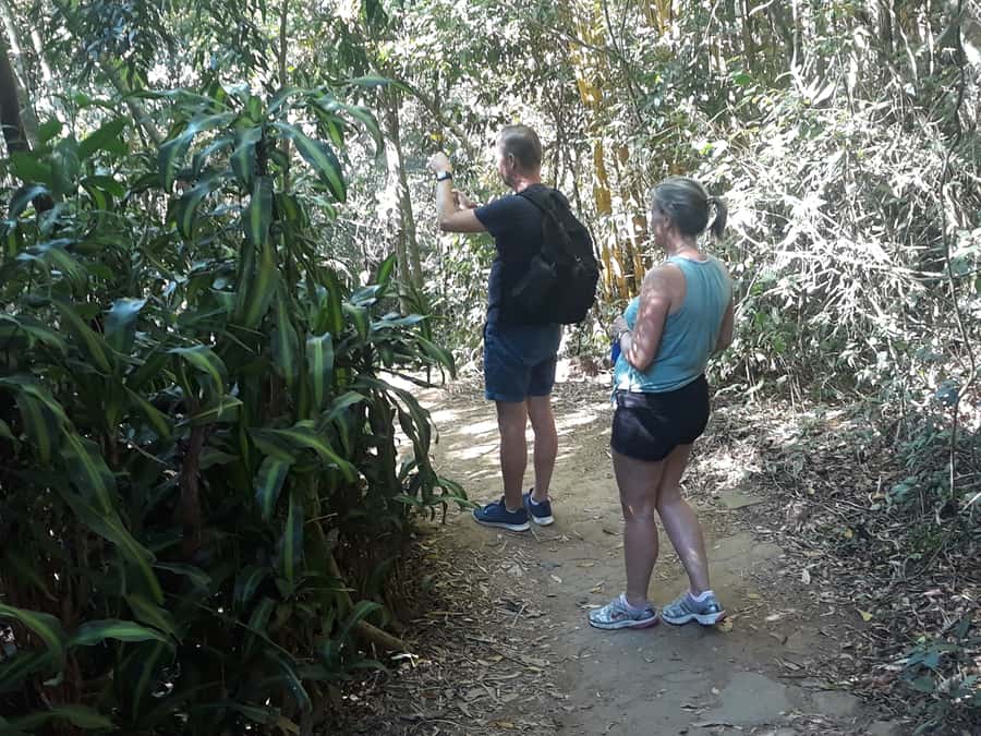 Private Tijuca Forest & Botanical Garden Guided Tour - Cascatinha Taunay waterfall: an easy win for photos and forest senses