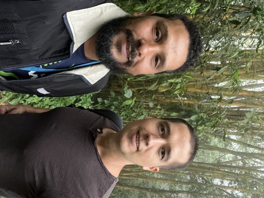 Private Tijuca Forest & Botanical Garden Guided Tour - Rio Botanical Garden: from sensory garden to palms, orchids, and bromeliads