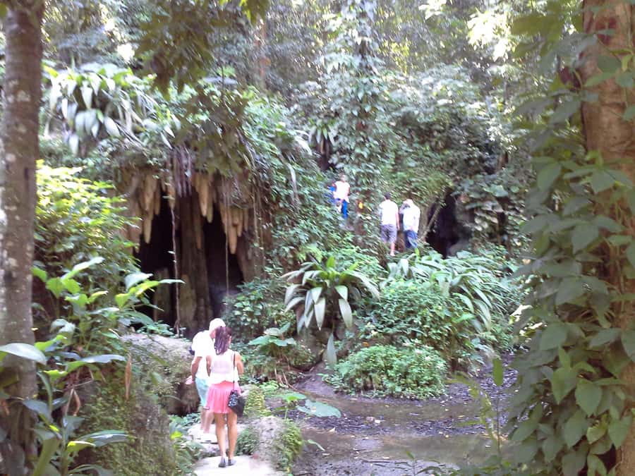 Private Tijuca Forest & Botanical Garden Guided Tour - Guides, languages, and private-ride reality in Rio