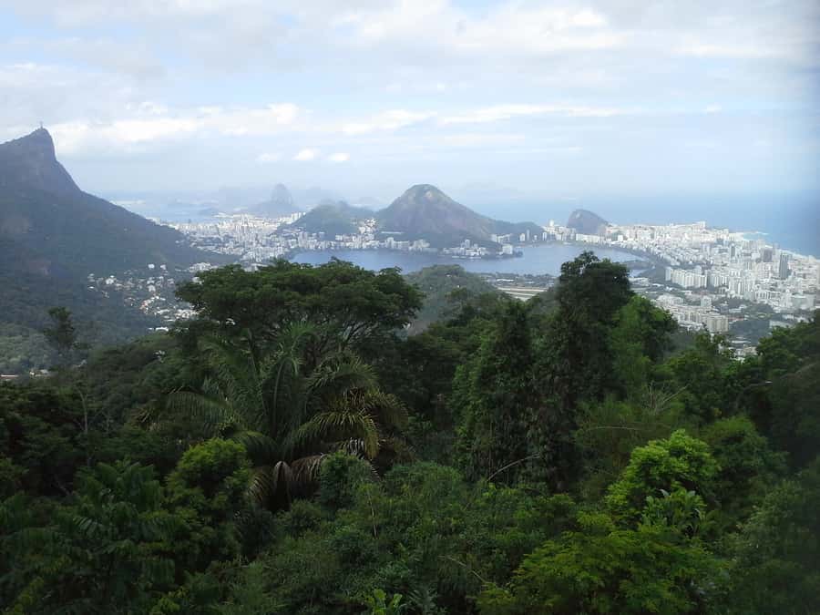 Private Tijuca Forest & Botanical Garden Guided Tour - Price and value for $80 per person