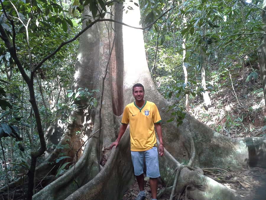 Private Tijuca Forest & Botanical Garden Guided Tour - Chinese Viewpoint at 388 meters: Rio’s map in one morning block