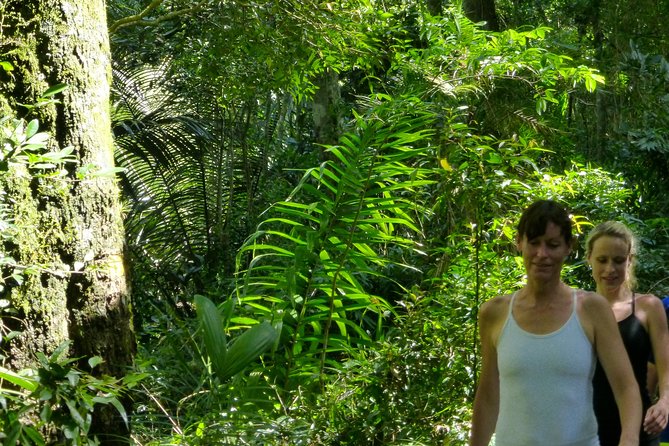 Private Tour - 5 Hours Customized Tour With a Local Guide in Rio - Price and value: is $125.46 per person fair for a private 5-hour day?