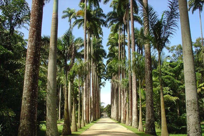 Private Tour: Explore Rio creating your own Itinerary - Who this custom Rio tour is best for
