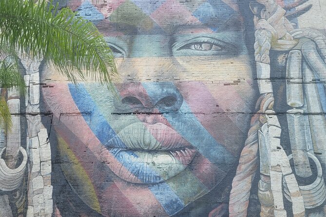 Private Tour of Rio de Janeiro Street Art - Olympic Boulevard murals: seeing Kobra’s Etnias mural in context