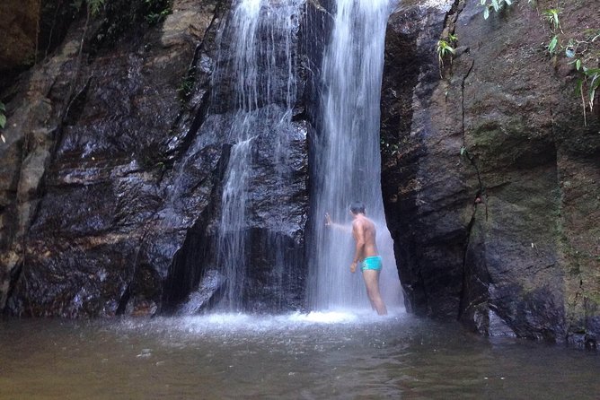 Private Tour: Rio de Janeiro Eco Tour at Tijuca National Park - Why this half-day Tijuca tour feels like Rio at its best