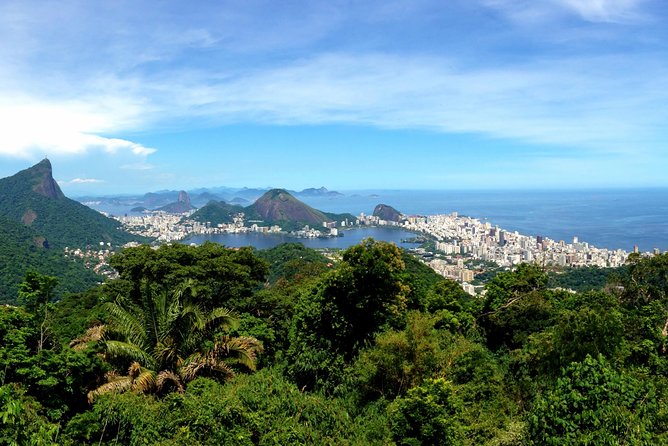 Private Tour: Rio de Janeiro Eco Tour at Tijuca National Park - The guide makes the difference: from ecology to safe footing