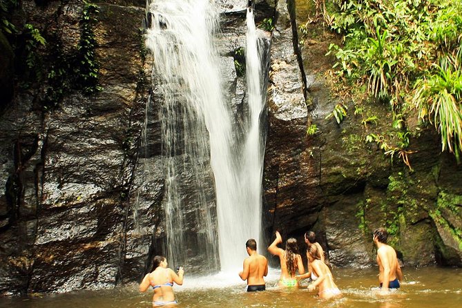 Private Tour: Rio de Janeiro Eco Tour at Tijuca National Park - Price and value: what $124.20 includes in real terms