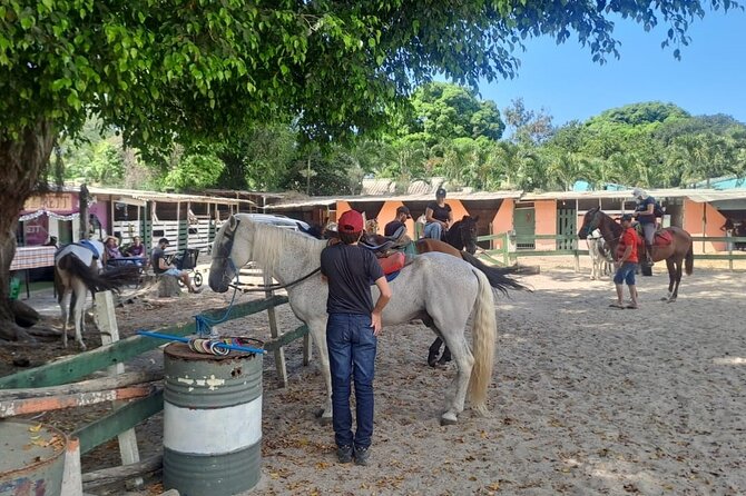 Quilombo Visit with Horse Backriding in Beach and Waterfall Tour - Quick takeaways (what makes it worth your time)