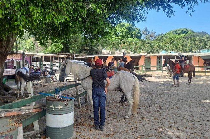 Quilombo Visit with Horse Backriding in Beach and Waterfall Tour - Sunset Time at Praia do Diabo: A Strong Finale by the Sea
