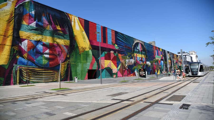 Rio: AquaRio and Olympic Boulevard - The animal collection: what 8,000 creatures looks like in real life
