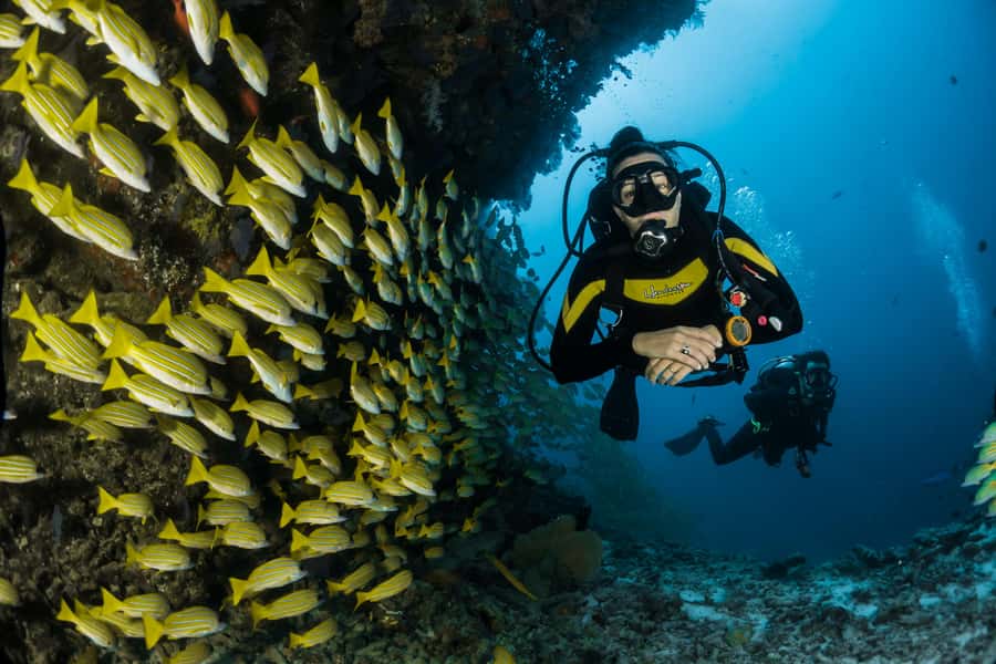 Rio: Best Dive Experience All Inclusive Scuba Diving Package - Key Highlights You Can Actually Use