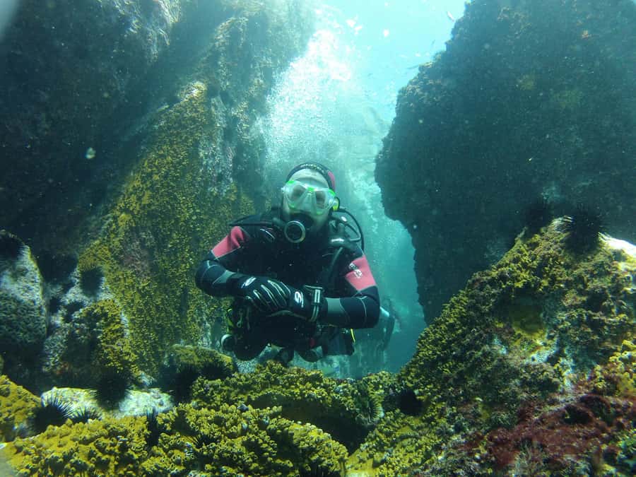Rio: Best Dive Experience All Inclusive Scuba Diving Package - On Arrival in Arraial do Cabo: Safety First, Then Water Time