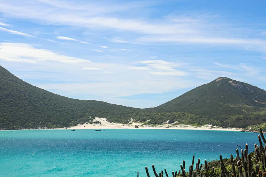 Rio: Best Dive Experience All Inclusive Scuba Diving Package - Snorkeling and Surface Wildlife: A Great Choice Even If You Are Nervous