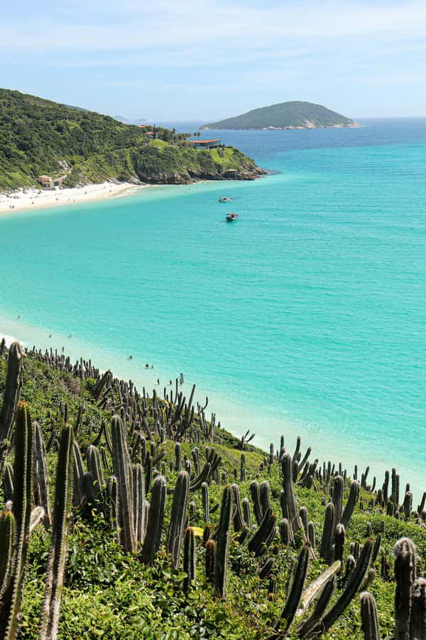 Rio: Best Dive Experience All Inclusive Scuba Diving Package - Culture on the Road: Using the Time Between Rio and the Coast