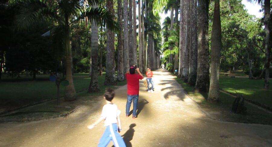 Rio: Botanical Garden, Tijuca Forest, and Parque Lage Tour - Hotel pickup, private group pace, and how the 5-hour timing works