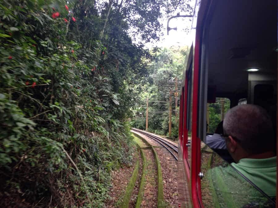Rio: Christ The Redeemer Half Day Tour With Pick up - The guide experience, and the kinds of details that impress