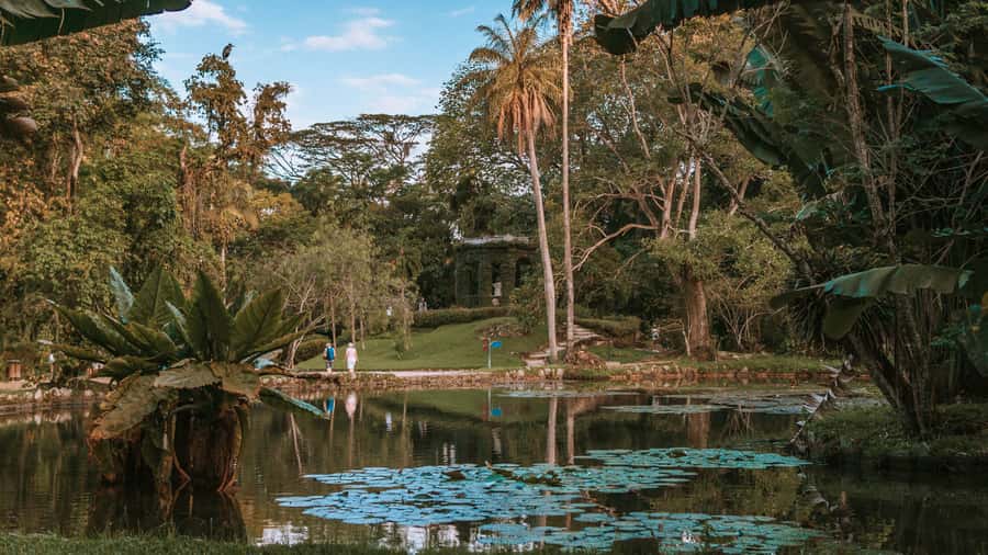 Rio de Janeiro: 4-Hour Botanical Garden & Tijuca Forest Tour - Botanical Garden of Rio, from Sensory Garden to Orchidarium