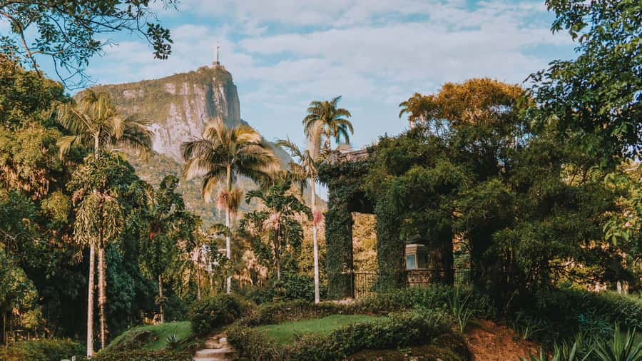 Rio de Janeiro: 4-Hour Botanical Garden & Tijuca Forest Tour - Tijuca National Forest on foot: the Atlantic Forest trail and Taunay Waterfall