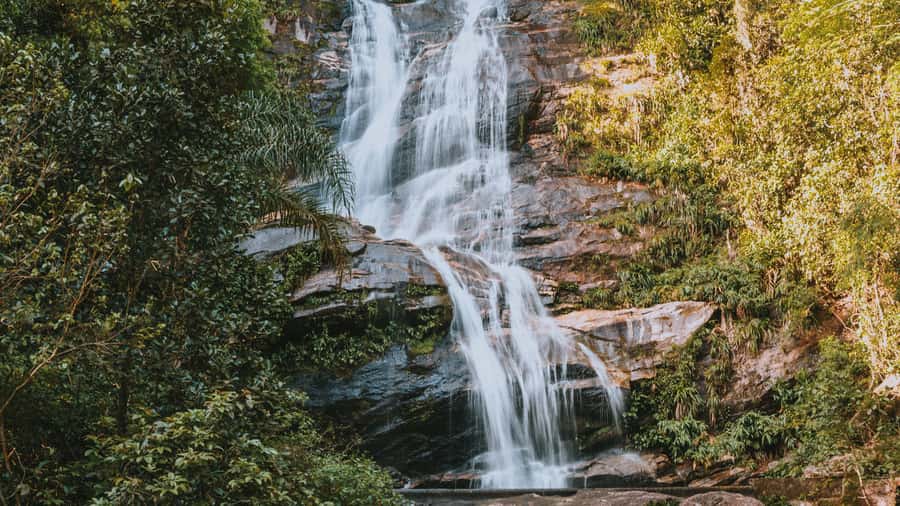 Rio de Janeiro: 4-Hour Botanical Garden & Tijuca Forest Tour - Time, value, and what “4 hours” feels like in real life