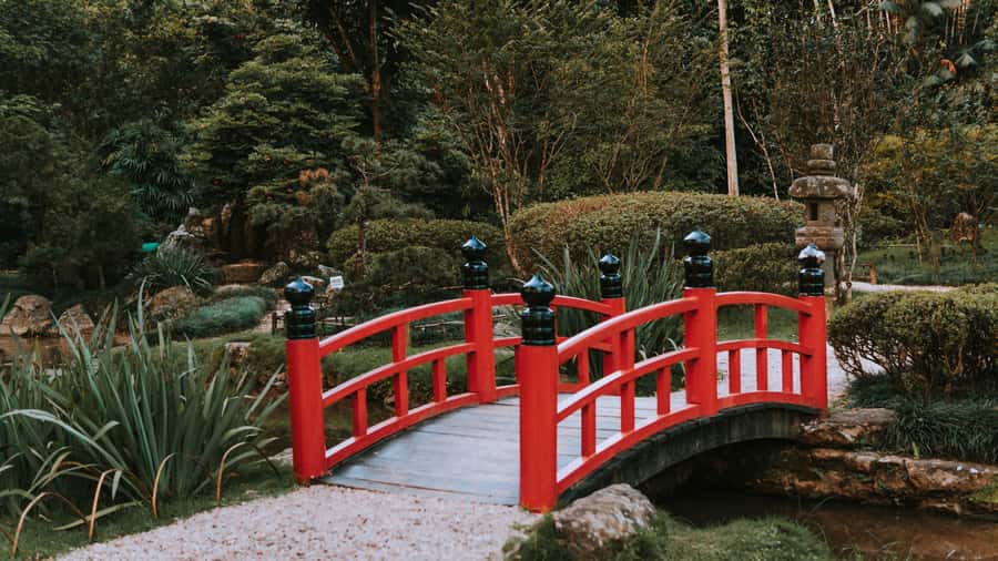 Rio de Janeiro: 4-Hour Botanical Garden & Tijuca Forest Tour - What to bring so the day stays comfortable