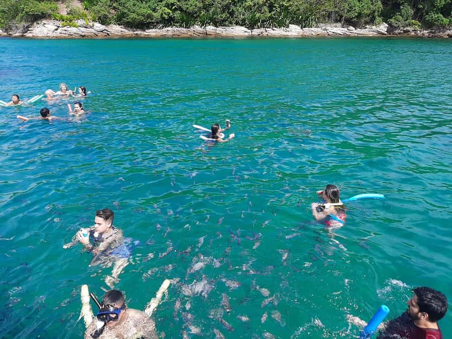 Rio de Janeiro: Angra dos Reis and Ilha Grande Full-Day Tour - Boat Ride Comfort, Snorkeling Gear, and Those Small Fees