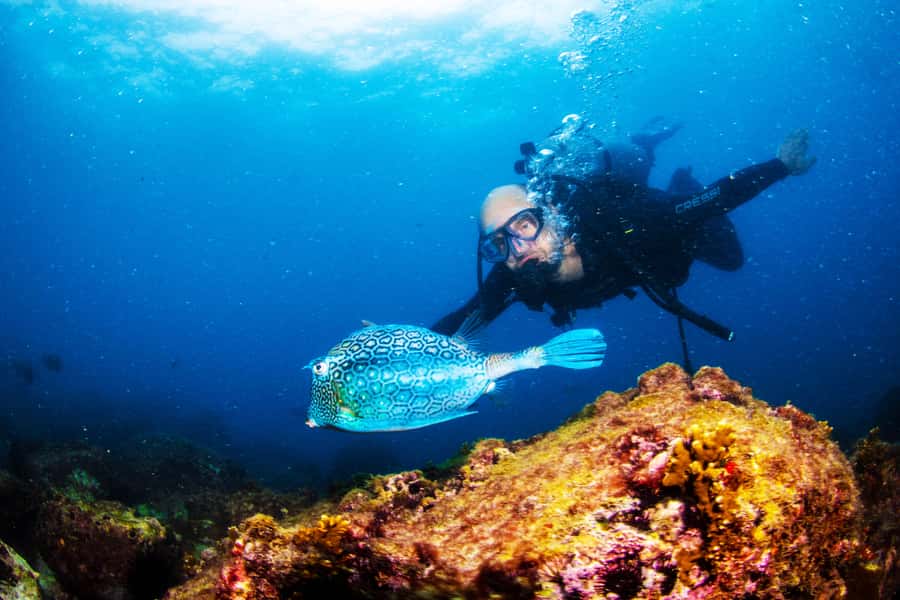 Rio de Janeiro: Arraial do Cabo Scuba Diving Day Trip - Key points before you go to Arraial do Cabo