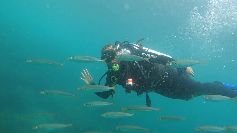 Rio de Janeiro: Arraial do Cabo Scuba Diving Day Trip - Weather rules, Coast Guard delays, and the backup plan
