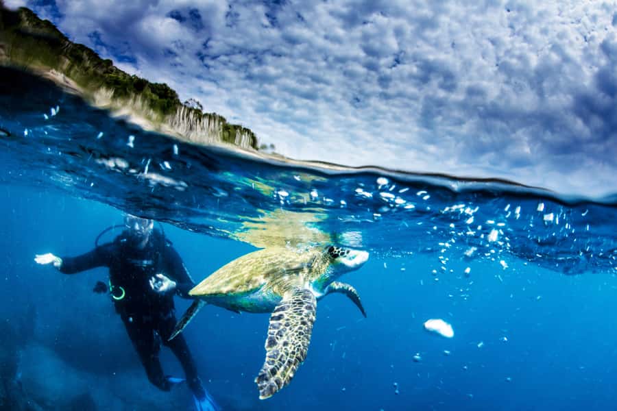 Rio de Janeiro: Arraial do Cabo Scuba Diving Day Trip - Gear you don’t have to chase down in Rio
