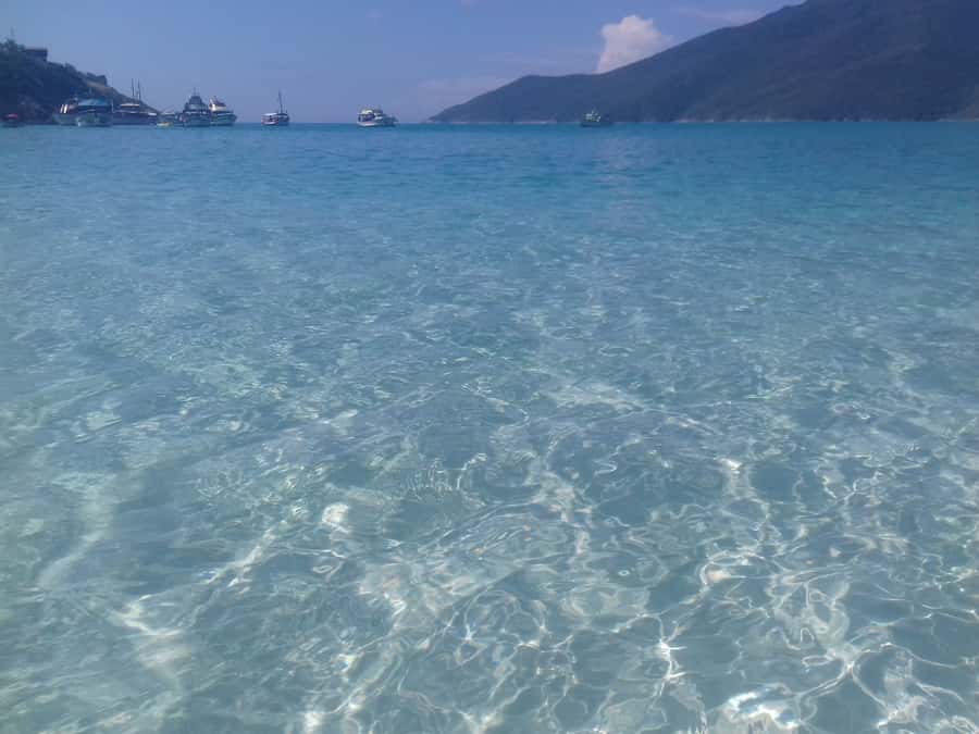 Rio de Janeiro: Arraial do Cabo Scuba Diving Day Trip - The marine life you might actually see, not just hope for