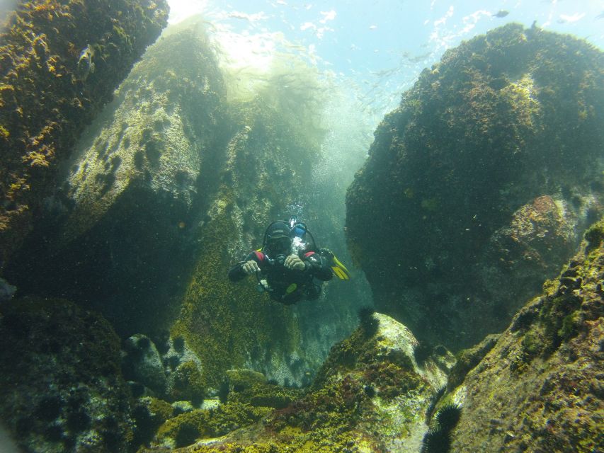 Rio de Janeiro: Arraial do Cabo Scuba Diving Day Trip - Lunch break reality check, and what to budget