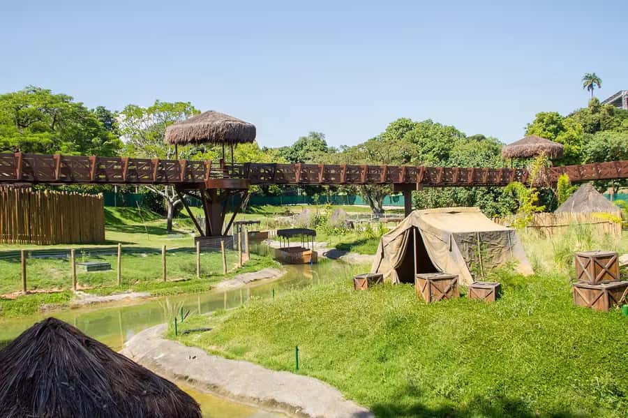 Rio de Janeiro: BioParque Guided Tour with Transfer - What you actually see: 140+ species across 51 enclosures
