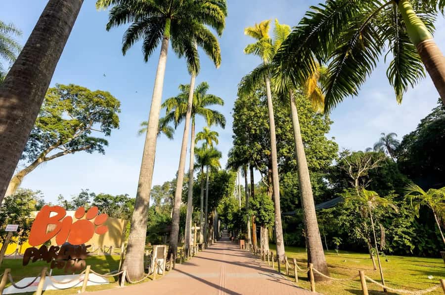 Rio de Janeiro: BioParque Guided Tour with Transfer - Who should book this BioParque tour with transfer