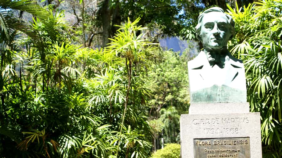 Rio de Janeiro: Botanical Garden Guided Visit - Getting Inside the Garden: Your Route Starts With Big Names