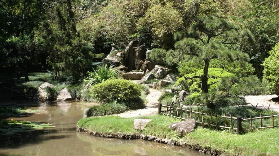 Rio de Janeiro: Botanical Garden Guided Visit - Royal Palms and the Fountain of the Muses: Two Stops That Define the Walk