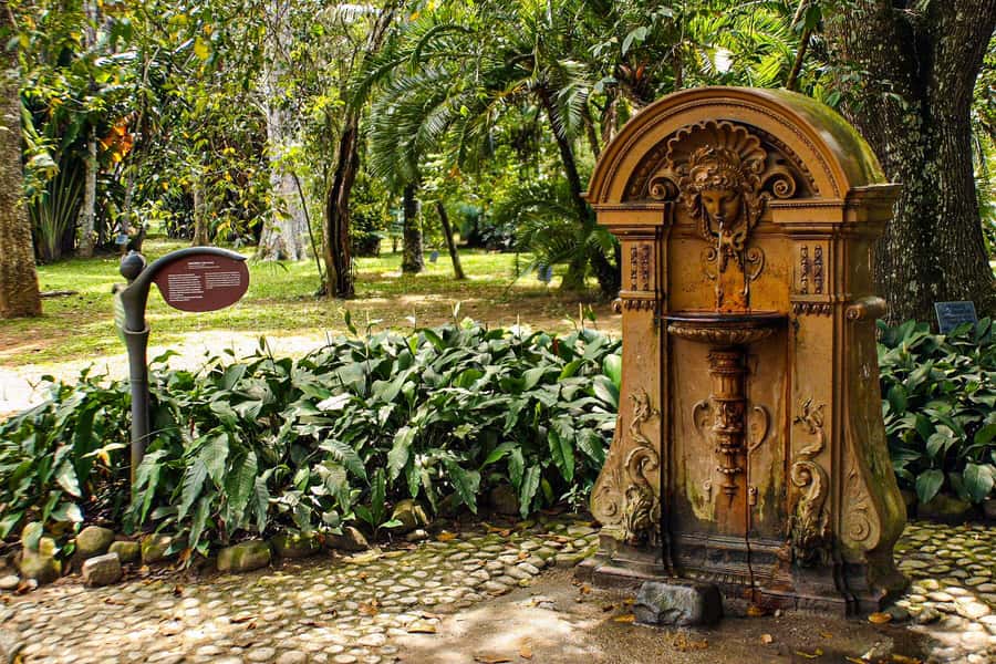 Rio de Janeiro: Botanical Garden Guided Visit - Botanical Garden Basics: Corcovado Access and a Park Built for Wonder