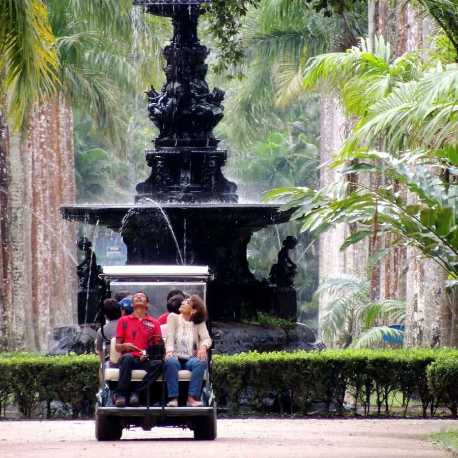 Rio de Janeiro: Botanical Garden Premium Private Tour - Key Things That Make This Tour Worth Considering
