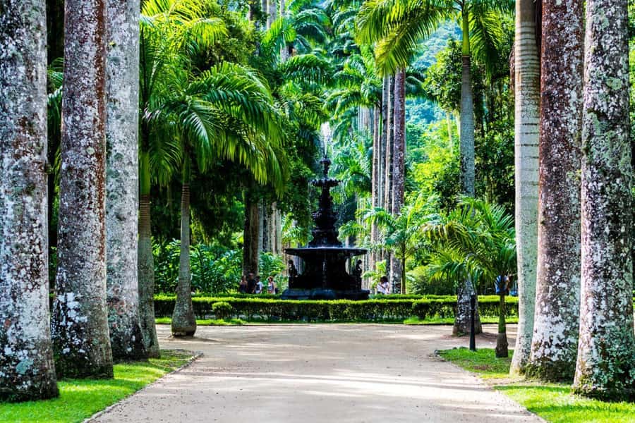 Rio de Janeiro: Botanical Garden Premium Private Tour - First Stop: Botanical Garden Pickup, Private Cart, and Timing