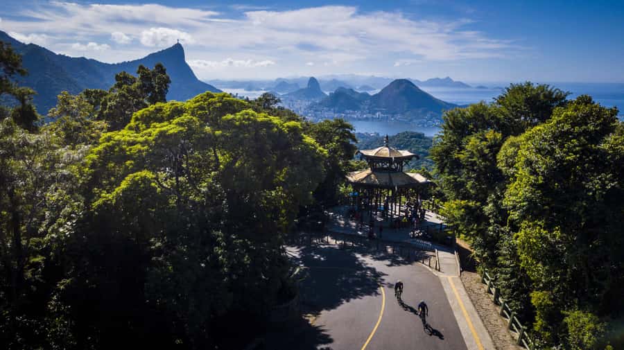 Rio de Janeiro: Botanical Garden Premium Private Tour - Price and Value: $250 Per Group Up to 6 (How to Think About It)