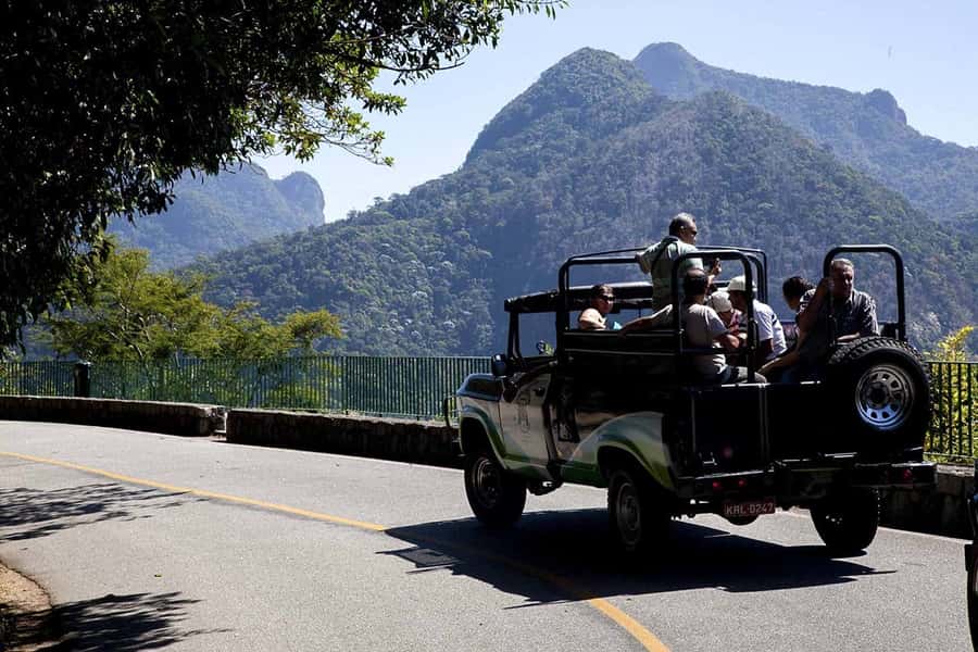 Rio de Janeiro: Botanical Garden & Tijuca Forest Guided Tour - How 4 hours can feel: pacing, photo stops, and when you need patience