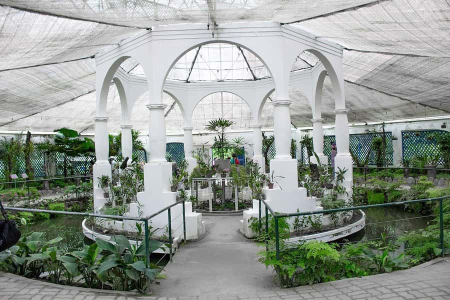 Rio de Janeiro: Botanical Garden & Tijuca Forest Guided Tour - What to bring for Tijuca and the garden (and what to skip)