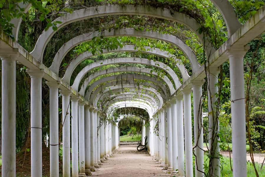 Rio de Janeiro: Botanical Garden & Tijuca Forest Guided Tour - Who this tour fits best (and who should consider something else)