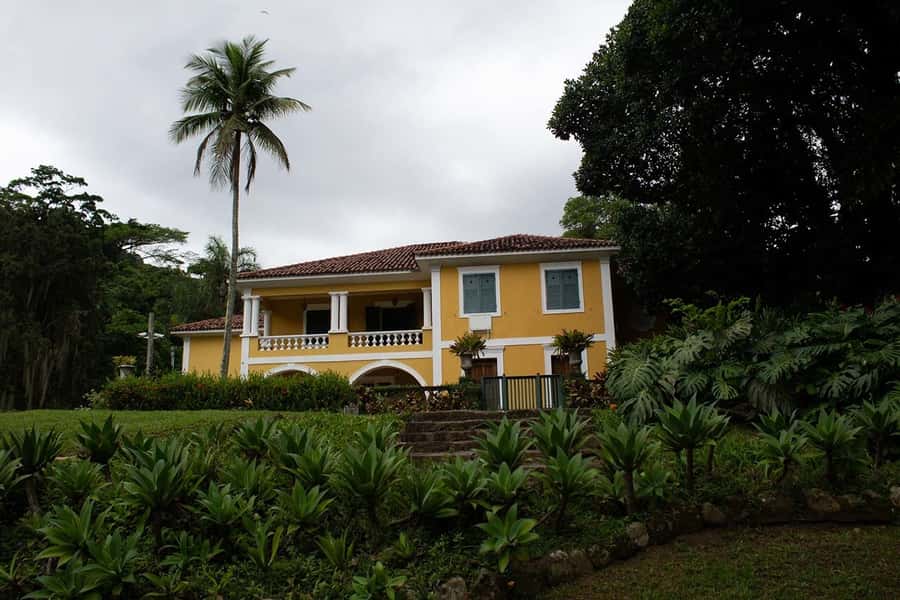 Rio de Janeiro: Botanical Garden & Tijuca Forest Guided Tour - Should you book this Rio nature tour?