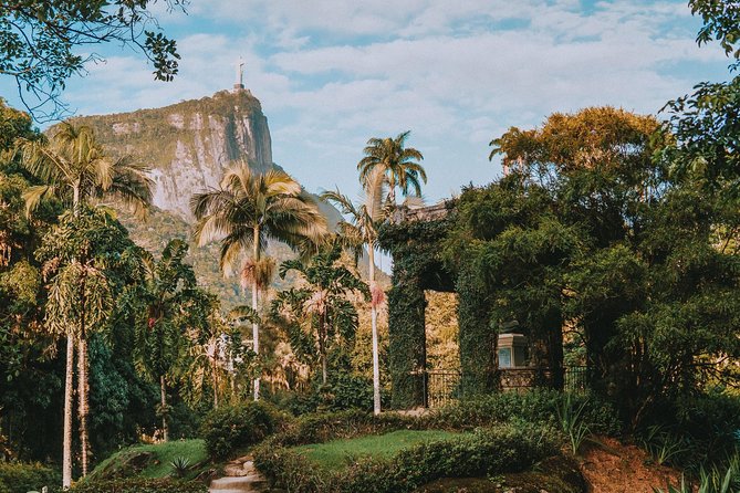 Rio de Janeiro Botanical Garden & Tijuca Forest Tour - Botanical Garden meets urban rainforest, a smart Rio mix for 4 hours